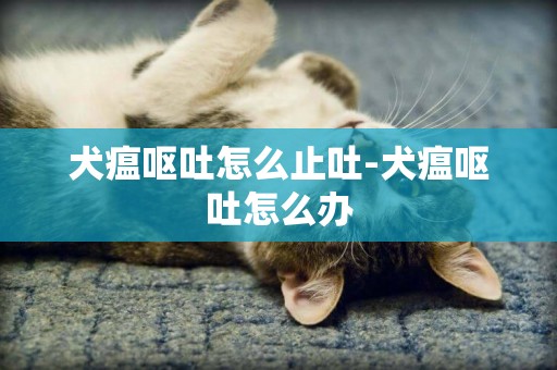 犬瘟嘔吐怎么止吐-犬瘟嘔吐怎么辦