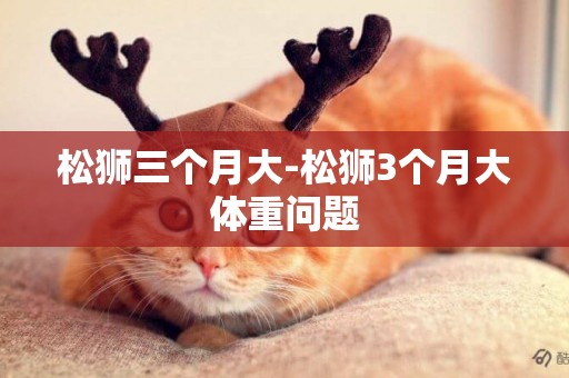 松獅三個月大-松獅3個月大體重問題