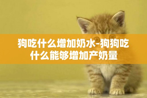 狗吃什么增加奶水-狗狗吃什么能夠增加產奶量
