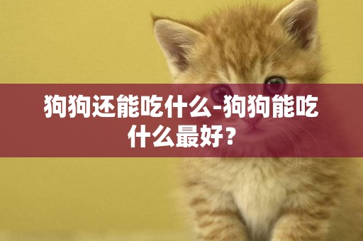 狗狗還能吃什么-狗狗能吃什么最好？