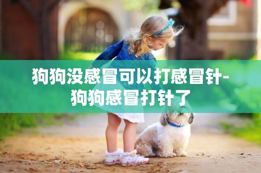 狗狗沒感冒可以打感冒針-狗狗感冒打針了