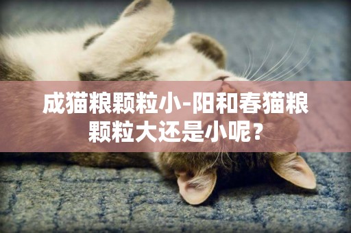 成貓糧顆粒小-陽和春貓糧顆粒大還是小呢？