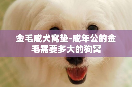 金毛成犬窩墊-成年公的金毛需要多大的狗窩