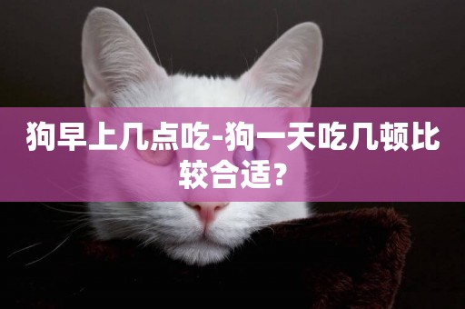 狗早上幾點吃-狗一天吃幾頓比較合適？