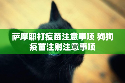 薩摩耶打疫苗注意事項 狗狗疫苗注射注意事項