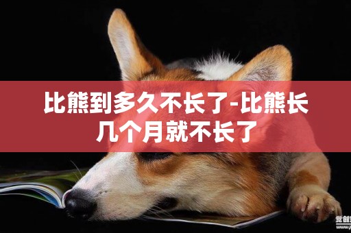 比熊到多久不長了-比熊長幾個月就不長了
