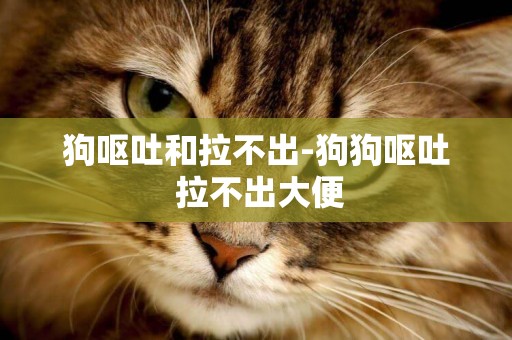 狗嘔吐和拉不出-狗狗嘔吐 拉不出大便