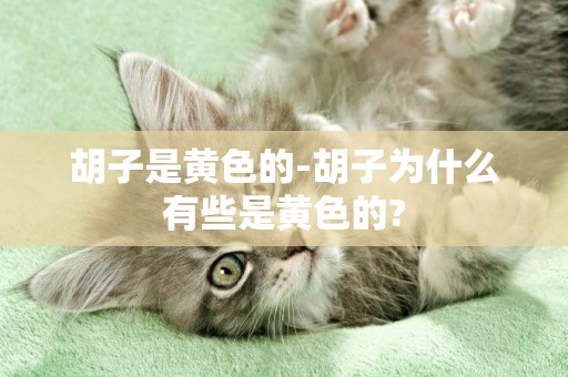 胡子是黃色的-胡子為什么有些是黃色的?