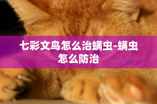 七彩文鳥怎么治螨蟲-螨蟲怎么防治