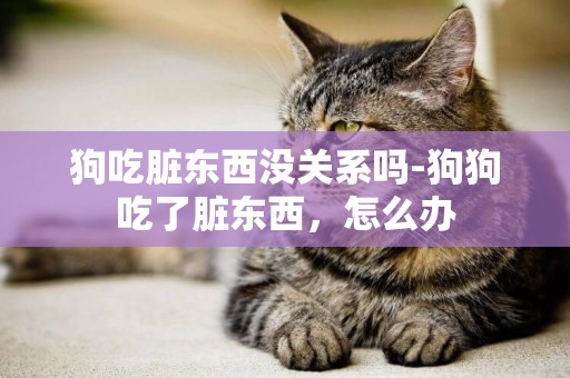 狗吃臟東西沒關系嗎-狗狗吃了臟東西，怎么辦