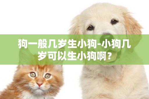 狗一般幾歲生小狗-小狗幾歲可以生小狗啊？