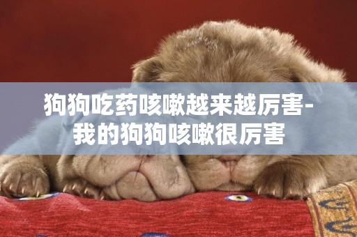 狗狗吃藥咳嗽越來越厲害-我的狗狗咳嗽很厲害