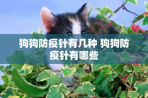 狗狗防疫針有幾種 狗狗防疫針有哪些