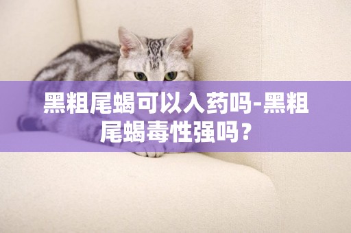 黑粗尾蝎可以入藥嗎-黑粗尾蝎毒性強嗎？