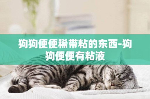 狗狗便便稀帶粘的東西-狗狗便便有粘液