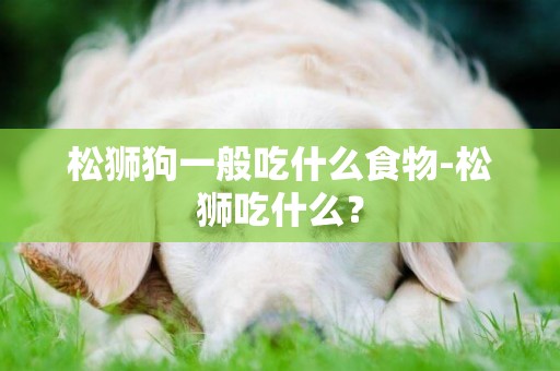 松獅狗一般吃什么食物-松獅吃什么？