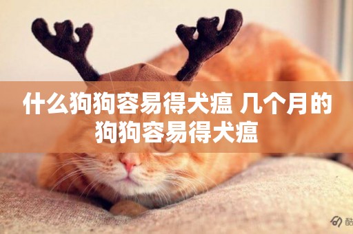 什么狗狗容易得犬瘟 幾個月的狗狗容易得犬瘟