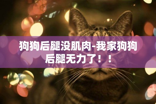 狗狗后腿沒肌肉-我家狗狗后腿無力了！！