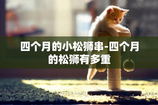 四個月的小松獅串-四個月的松獅有多重