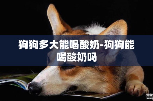 狗狗多大能喝酸奶-狗狗能喝酸奶嗎