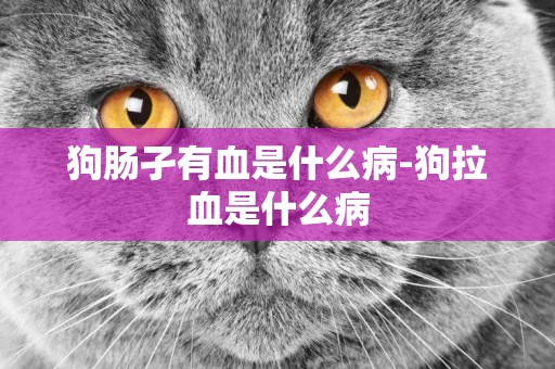 狗腸孑有血是什么病-狗拉血是什么病