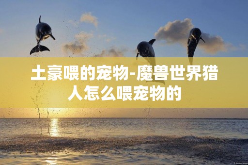 土豪喂的寵物-魔獸世界獵人怎么喂寵物的