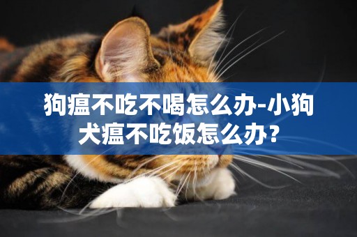 狗瘟不吃不喝怎么辦-小狗犬瘟不吃飯怎么辦？