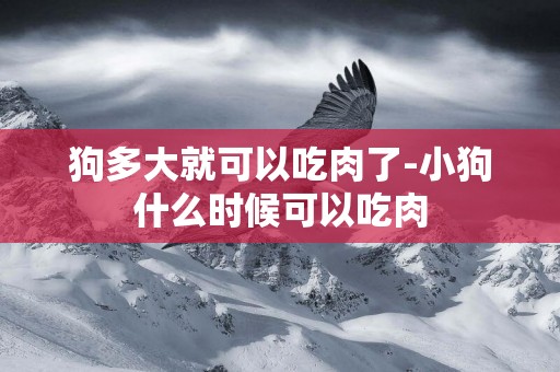 狗多大就可以吃肉了-小狗什么時候可以吃肉