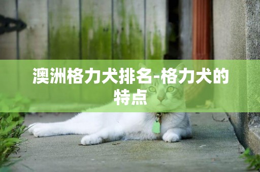 澳洲格力犬排名-格力犬的特點