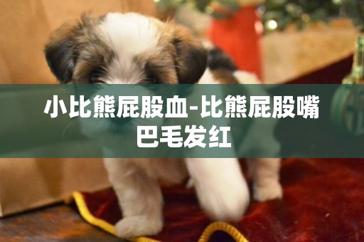 小比熊屁股血-比熊屁股嘴巴毛發紅
