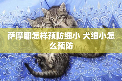 薩摩耶怎樣預防細小 犬細小怎么預防