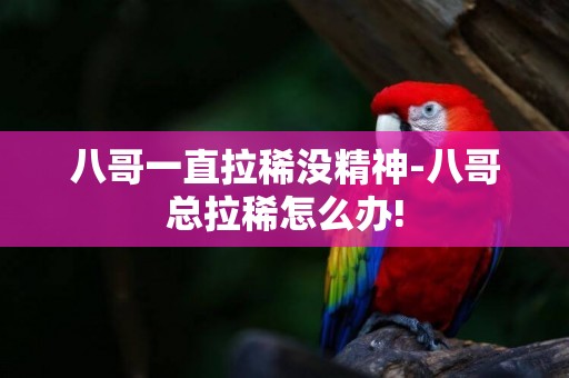 八哥一直拉稀沒精神-八哥總拉稀怎么辦!