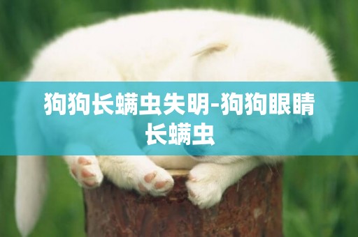狗狗長螨蟲失明-狗狗眼睛長螨蟲