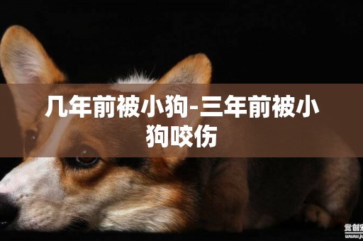 幾年前被小狗-三年前被小狗咬傷