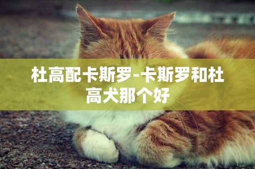 杜高配卡斯羅-卡斯羅和杜高犬那個好