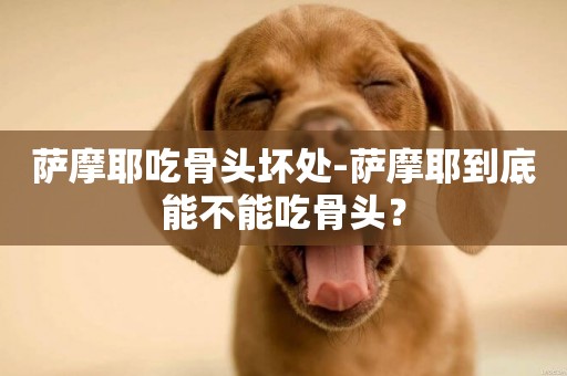薩摩耶吃骨頭壞處-薩摩耶到底能不能吃骨頭？
