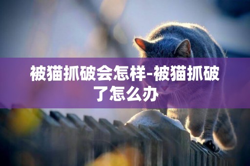 被貓抓破會怎樣-被貓抓破了怎么辦