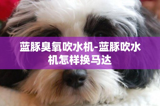 藍豚臭氧吹水機-藍豚吹水機怎樣換馬達
