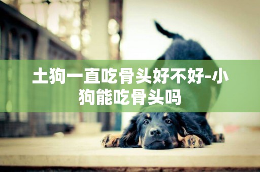 土狗一直吃骨頭好不好-小狗能吃骨頭嗎