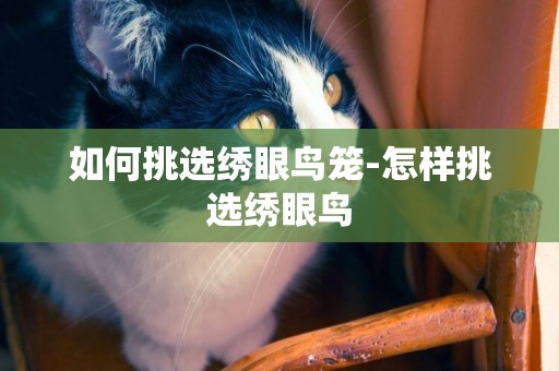 如何挑選繡眼鳥籠-怎樣挑選繡眼鳥