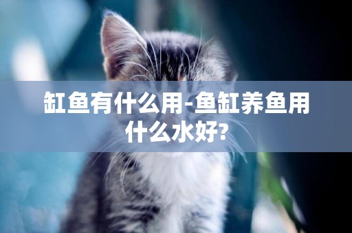 缸魚有什么用-魚缸養魚用什么水好?