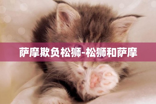 薩摩欺負松獅-松獅和薩摩