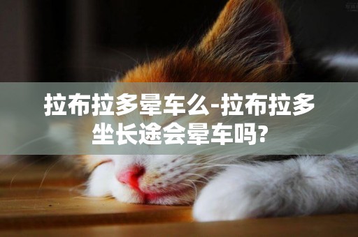 拉布拉多暈車么-拉布拉多坐長途會暈車嗎?
