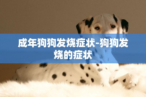 成年狗狗發燒癥狀-狗狗發燒的癥狀