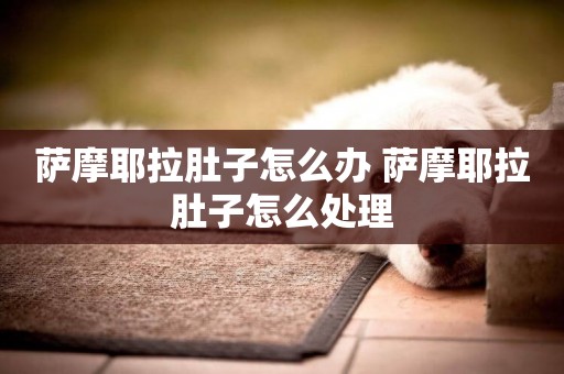 薩摩耶拉肚子怎么辦 薩摩耶拉肚子怎么處理