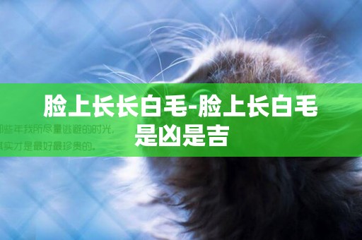 臉上長長白毛-臉上長白毛是兇是吉