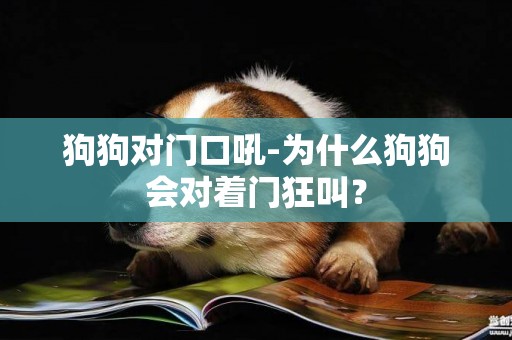 狗狗對門口吼-為什么狗狗會對著門狂叫？