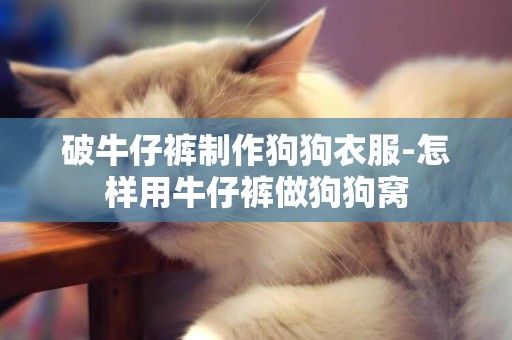 破牛仔褲制作狗狗衣服-怎樣用牛仔褲做狗狗窩