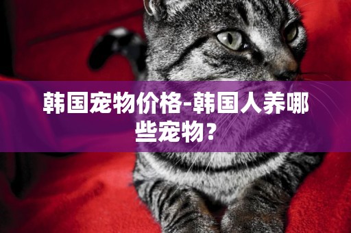 韓國寵物價格-韓國人養哪些寵物？