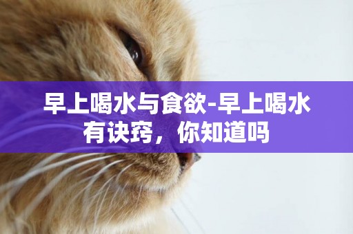 早上喝水與食欲-早上喝水有訣竅，你知道嗎